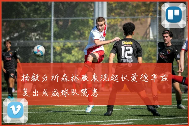 杨毅分析森林狼表现起伏爱德华兹复出或成球队隐患