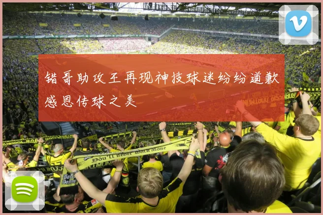 错哥助攻王再现神技球迷纷纷道歉感恩传球之美