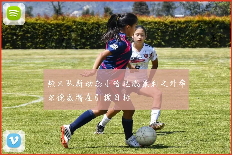 热火队新动态小哈达威康利之外希尔德成潜在引援目标